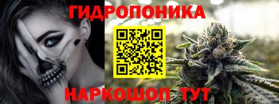 крисы Нальчик