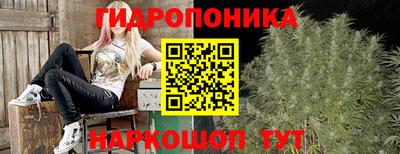 ECSTASY Можайск